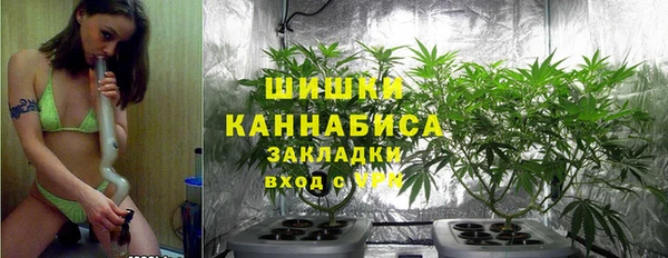 PSILOCYBIN Абдулино